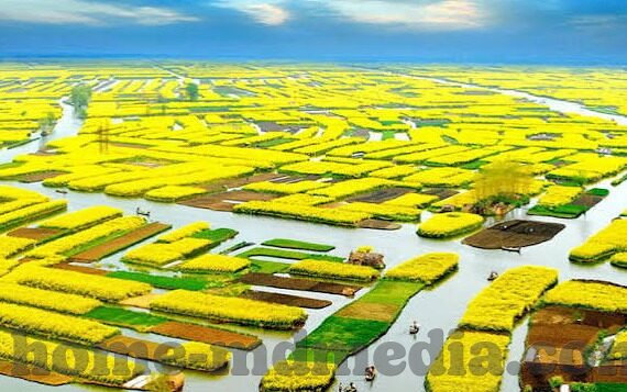 麻豆传媒最新视频-麻豆传媒最新视频,探索数字时代的多样娱乐新视界